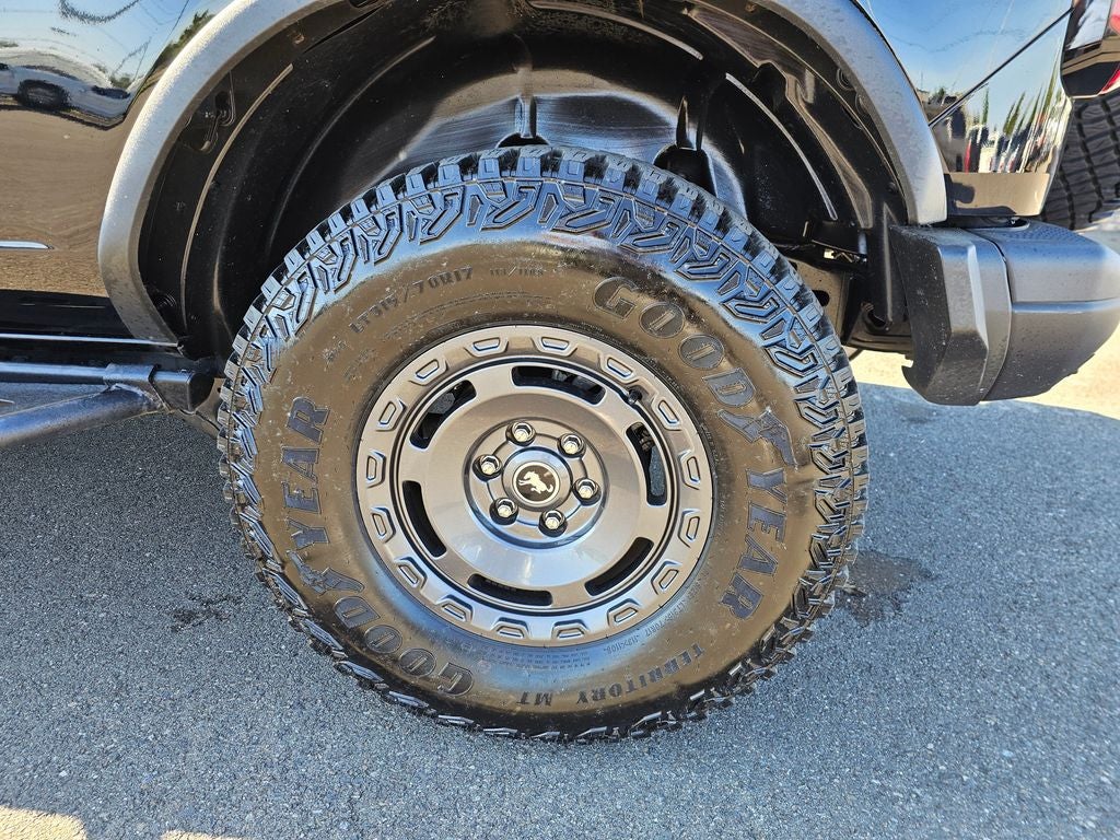 2024 Ford Bronco Everglades