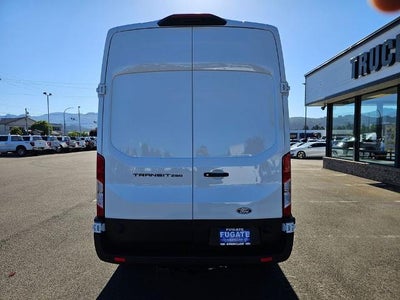 2026 Ford Transit Commercial Cargo Van