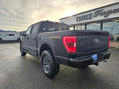 2022 Ford F-150 Tremor