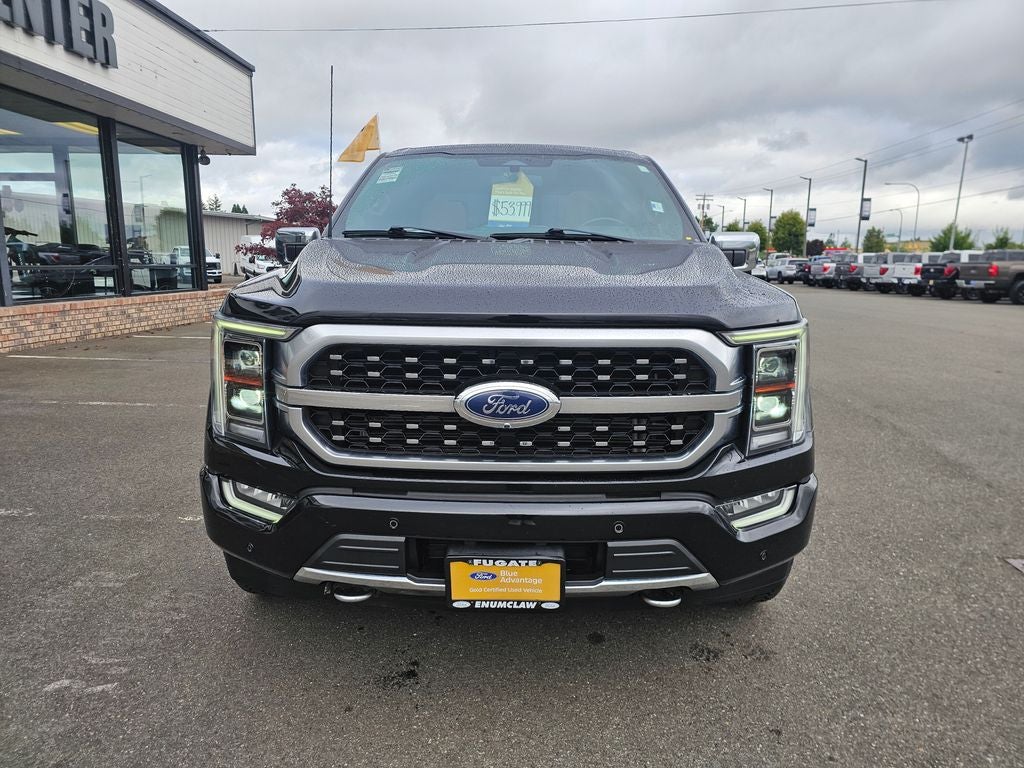 2023 Ford F-150 Platinum
