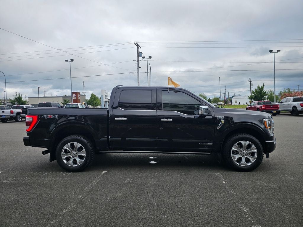 2023 Ford F-150 Platinum