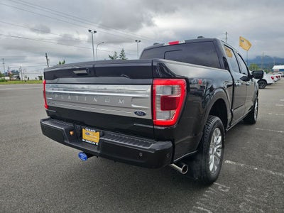 2023 Ford F-150 Platinum
