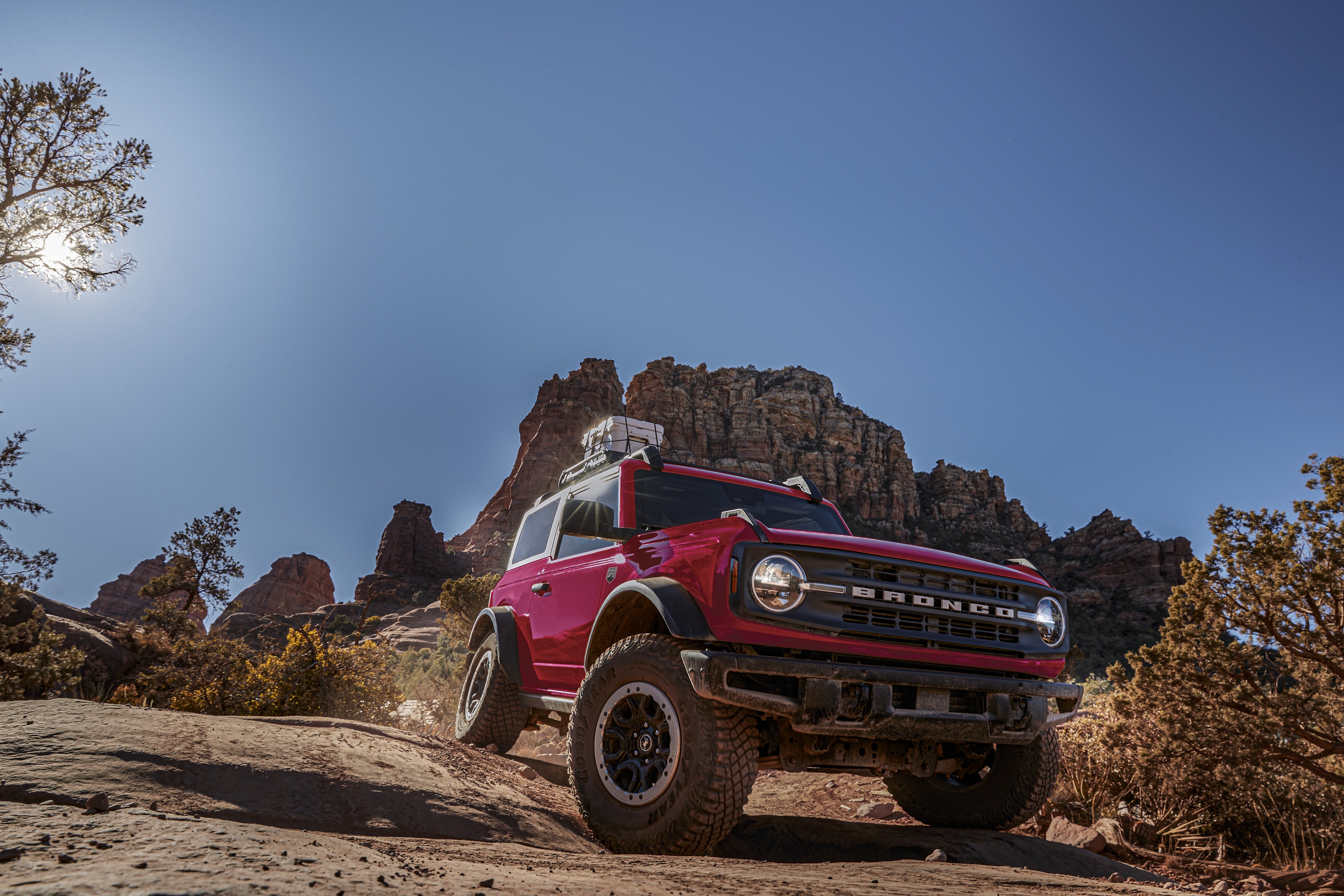 Bronco detail image