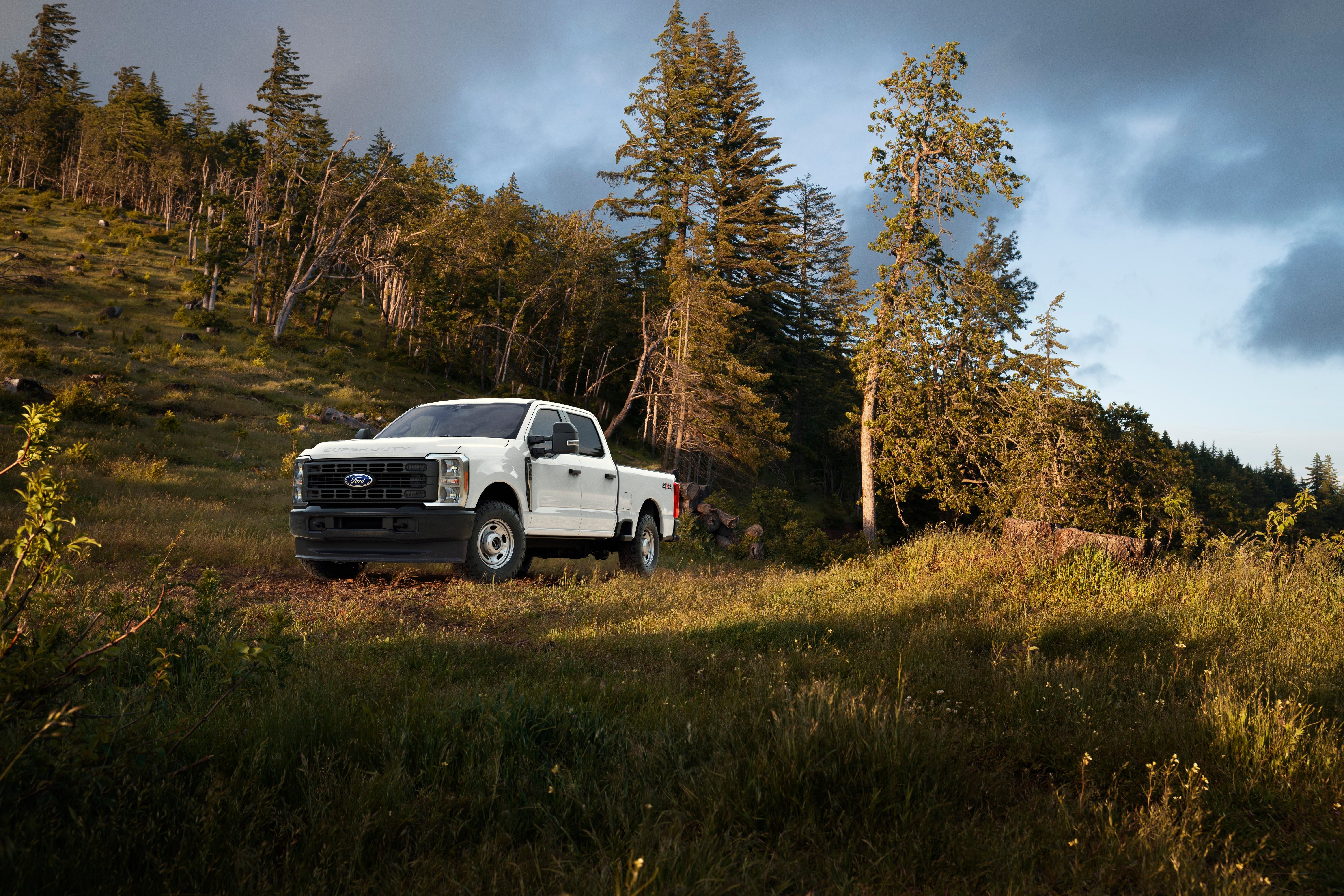 F-350 feature image